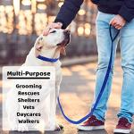 6 Foot Slip Leads for Dogs - 6 Pack