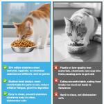 Stainless Steel Cat Food Bowls - 3 Pack