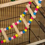 PawHut Multi-Door Bird Cage with Feeders & Perches