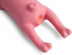 Petface Soft Chew Pig Toy for Dogs