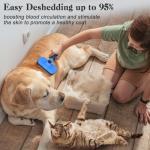Self-Cleaning Slicker Brush for Dogs and Cats