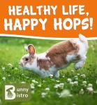 Bunny Bistro Ribwort Plantain 200g Treats for Small Pets