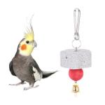 3-Piece Bird Chew Toy Set with Bell