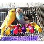 Colorful Wood Swing Perch Toys for Birds