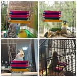 Colorful Wood Swing Perch Toys for Birds
