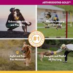 NaturVet Joint Care Chews for Dogs - 70 Count