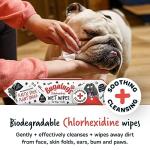 Biodegradable Dog and Cat Grooming Wipes - 80 Count