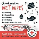 Biodegradable Dog and Cat Grooming Wipes - 80 Count