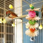 Colorful Foraging Toys for Parakeets and Cockatiels