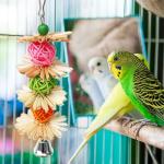 Colorful Foraging Toys for Parakeets and Cockatiels