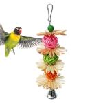 Colorful Foraging Toys for Parakeets and Cockatiels