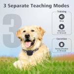 Remote Training Collar for Dogs with Vibration