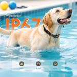 Rechargeable Remote Anti-Bark Collar for Dogs