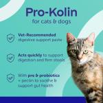 Protexin Pro-Kolin Digestive Support Paste for Pets
