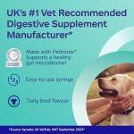 Protexin Pro-Kolin Digestive Support Paste for Pets