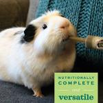 Oxbow Critical Care for Herbivores - Anise Flavor