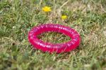 Rosewood BioSafe Puppy Chew Ring - Mint Scented