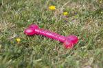 Rosewood BioSafe Puppy Bone - Antimicrobial Chew Toy