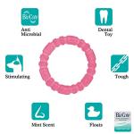 Rosewood BioSafe Puppy Chew Ring - Mint Scented