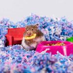 Uber Soft Confetti Pet Bed for Small Animals