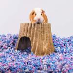 Uber Soft Confetti Pet Bed for Small Animals