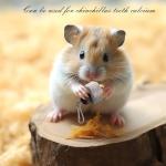 Bird Calcium Chew Toys with Bell for Parakeets