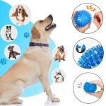 6 Pack Squeaky Rubber Dog Balls for Chewing