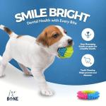 Indestructible Chew Toys for Small Dogs - 10-Pack