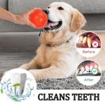 6 Pack Squeaky Rubber Dog Balls for Chewing