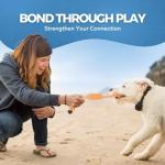 Indestructible Chew Toys for Small Dogs - 10-Pack