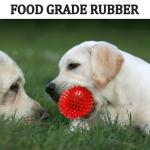 6 Pack Squeaky Rubber Dog Balls for Chewing