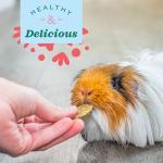 Oxbow Joint Support for Small Animals