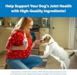 Nutramax COSEQUIN Joint Health Supplement for Dogs