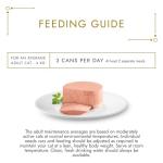 Ocean Fish Wet Cat Food - 85g Pack of 12