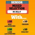 PEDIGREE Senior Dog Food Pouches in Jelly 40 Pack