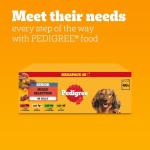 PEDIGREE Senior Dog Food Pouches in Jelly 40 Pack