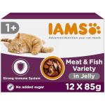 IAMS Adult Cat Food in Jelly - 12 Pack
