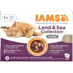 IAMS Adult Cat Food in Jelly - 12 Pack