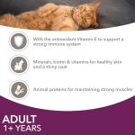 IAMS Adult Cat Food in Jelly - 12 Pack