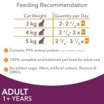 IAMS Adult Cat Food in Jelly - 12 Pack