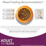 IAMS Adult Cat Food in Jelly - 12 Pack