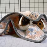 6 Pack Washable Guinea Pig Bedding and Pads