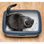 Nobleza Biodegradable Diamond Gel Cat Litter 3.8L