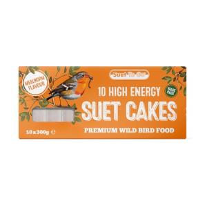 Mealworm Suet Block Bird Treats - 10 Pack