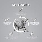 Dr. John Titanium Dry Dog Food - Chicken & Veggies