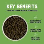 Burgess Lamb Sensitive Dry Dog Food 12.5 kg