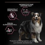 PRO PLAN Medium Adult Salmon Dog Food 14kg