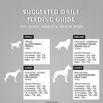 Dr. John Titanium Dry Dog Food - Chicken & Veggies