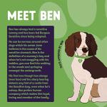 Burgess Lamb Sensitive Dry Dog Food 12.5 kg