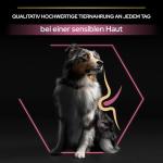 PRO PLAN Medium Adult Salmon Dog Food 14kg